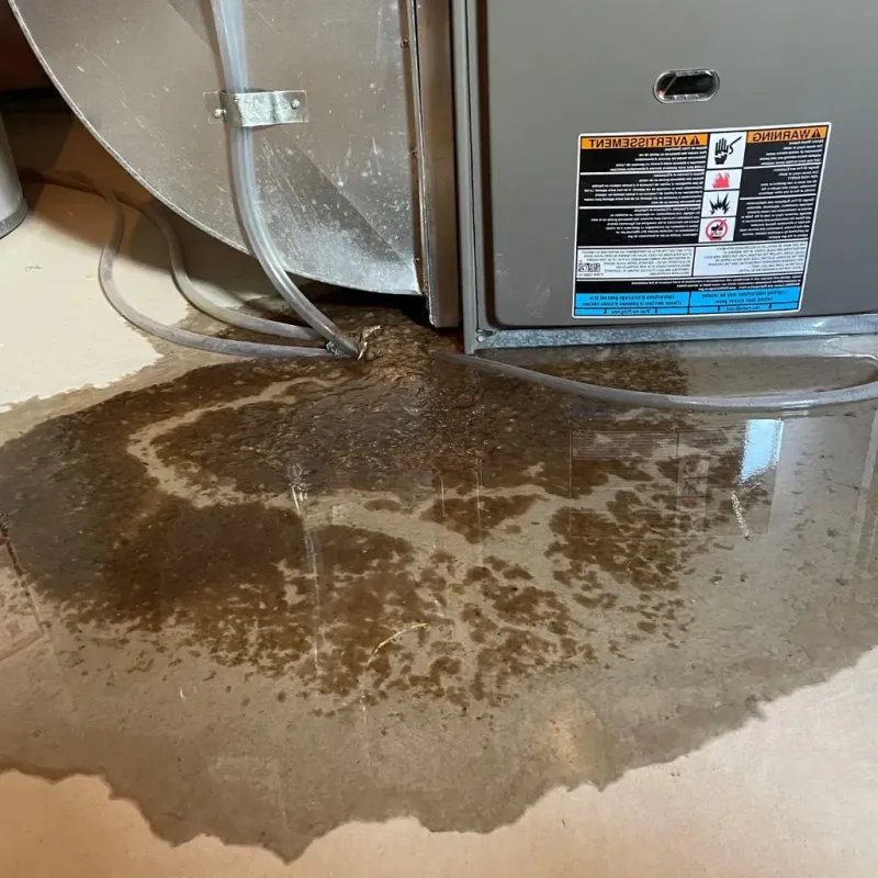 Pipe Burst and Leak Restoration in South Chicago Heights, IL
