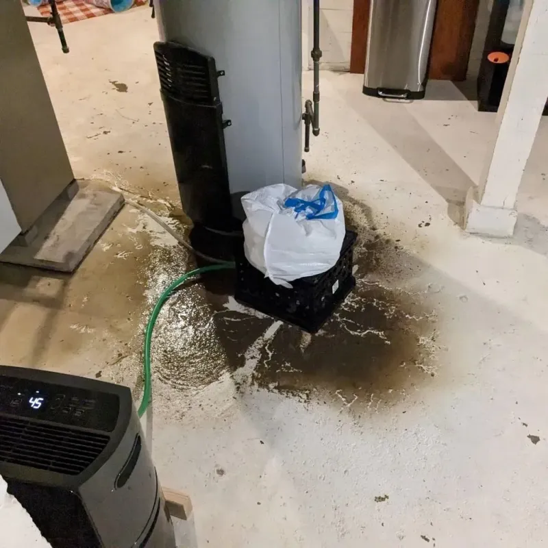 Sewage Backup Cleanup Service in South Chicago Heights, IL